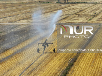 Farmers are using mobile sprinkler irrigation equipment to water newly sown corn in Daqu village in Liaocheng, China, on June 12, 2024. (