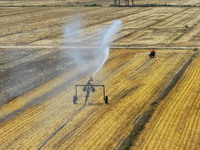 Farmers are using mobile sprinkler irrigation equipment to water newly sown corn in Daqu village in Liaocheng, China, on June 12, 2024. (