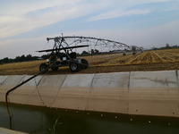 Farmers are using mobile sprinkler irrigation equipment to water newly sown corn in Daqu village in Liaocheng, China, on June 12, 2024. (