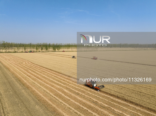 Farmers are driving large harvesting machines to harvest wheat for major growers in Yingcun village, Lianyungang city, Jiangsu province, Chi...