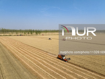 Farmers are driving large harvesting machines to harvest wheat for major growers in Yingcun village, Lianyungang city, Jiangsu province, Chi...