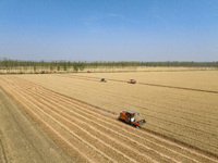 Farmers are driving large harvesting machines to harvest wheat for major growers in Yingcun village, Lianyungang city, Jiangsu province, Chi...