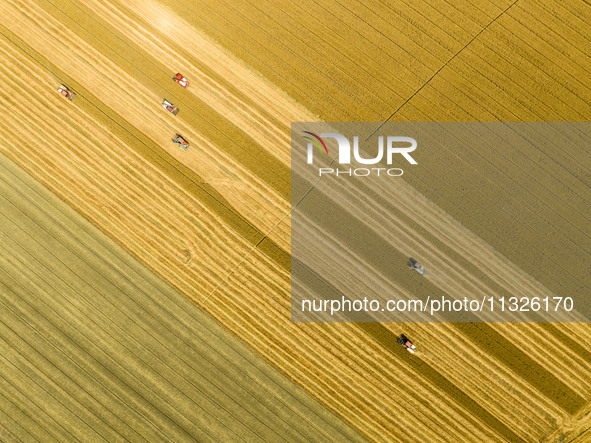 Farmers are driving large harvesting machines to harvest wheat for major growers in Yingcun village, Lianyungang city, Jiangsu province, Chi...