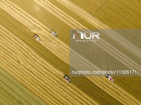 Farmers are driving large harvesting machines to harvest wheat for major growers in Yingcun village, Lianyungang city, Jiangsu province, Chi...