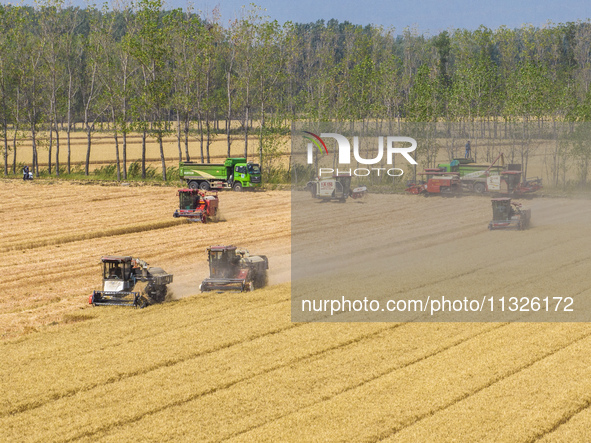 Farmers are driving large harvesting machines to harvest wheat for major growers in Yingcun village, Lianyungang city, Jiangsu province, Chi...