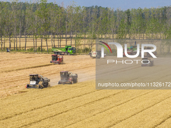 Farmers are driving large harvesting machines to harvest wheat for major growers in Yingcun village, Lianyungang city, Jiangsu province, Chi...