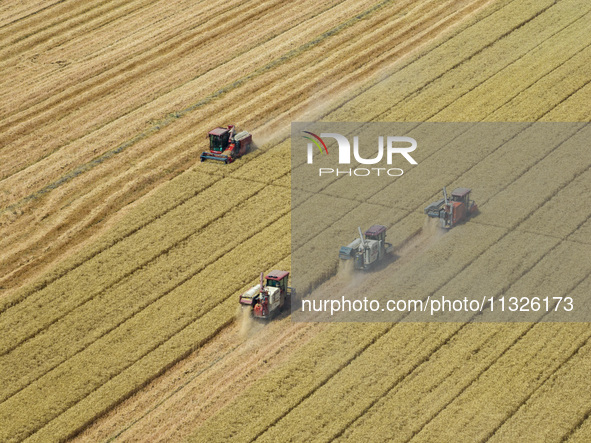 Farmers are driving large harvesting machines to harvest wheat for major growers in Yingcun village, Lianyungang city, Jiangsu province, Chi...