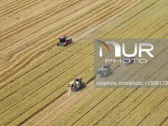 Farmers are driving large harvesting machines to harvest wheat for major growers in Yingcun village, Lianyungang city, Jiangsu province, Chi...