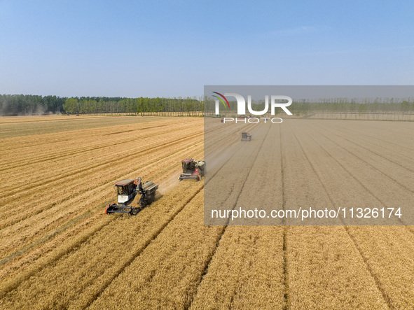 Farmers are driving large harvesting machines to harvest wheat for major growers in Yingcun village, Lianyungang city, Jiangsu province, Chi...