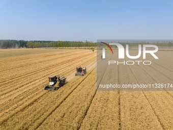 Farmers are driving large harvesting machines to harvest wheat for major growers in Yingcun village, Lianyungang city, Jiangsu province, Chi...