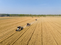 Farmers are driving large harvesting machines to harvest wheat for major growers in Yingcun village, Lianyungang city, Jiangsu province, Chi...