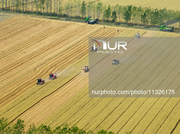 Farmers are driving large harvesting machines to harvest wheat for major growers in Yingcun village, Lianyungang city, Jiangsu province, Chi...