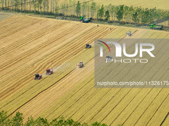 Farmers are driving large harvesting machines to harvest wheat for major growers in Yingcun village, Lianyungang city, Jiangsu province, Chi...