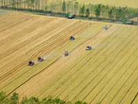 Farmers are driving large harvesting machines to harvest wheat for major growers in Yingcun village, Lianyungang city, Jiangsu province, Chi...