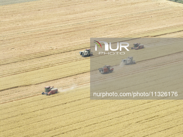 Farmers are driving large harvesting machines to harvest wheat for major growers in Yingcun village, Lianyungang city, Jiangsu province, Chi...