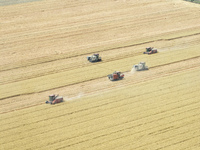 Farmers are driving large harvesting machines to harvest wheat for major growers in Yingcun village, Lianyungang city, Jiangsu province, Chi...