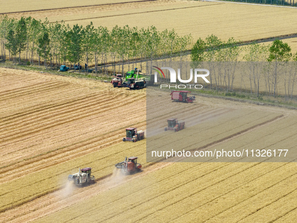 Farmers are driving large harvesting machines to harvest wheat for major growers in Yingcun village, Lianyungang city, Jiangsu province, Chi...