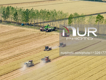 Farmers are driving large harvesting machines to harvest wheat for major growers in Yingcun village, Lianyungang city, Jiangsu province, Chi...