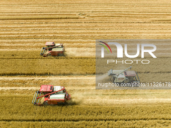 Farmers are driving large harvesting machines to harvest wheat for major growers in Yingcun village, Lianyungang city, Jiangsu province, Chi...