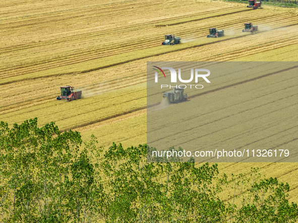 Farmers are driving large harvesting machines to harvest wheat for major growers in Yingcun village, Lianyungang city, Jiangsu province, Chi...