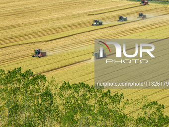 Farmers are driving large harvesting machines to harvest wheat for major growers in Yingcun village, Lianyungang city, Jiangsu province, Chi...