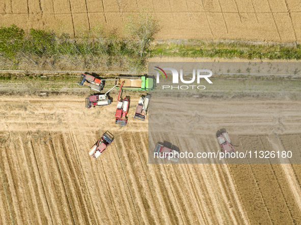 Farmers are driving large harvesting machines to harvest wheat for major growers in Yingcun village, Lianyungang city, Jiangsu province, Chi...