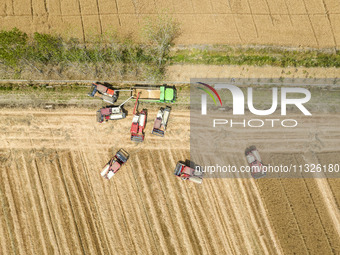 Farmers are driving large harvesting machines to harvest wheat for major growers in Yingcun village, Lianyungang city, Jiangsu province, Chi...