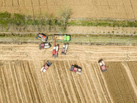 Farmers are driving large harvesting machines to harvest wheat for major growers in Yingcun village, Lianyungang city, Jiangsu province, Chi...