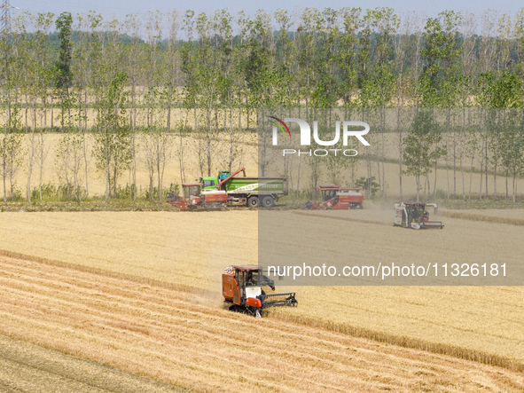 Farmers are driving large harvesting machines to harvest wheat for major growers in Yingcun village, Lianyungang city, Jiangsu province, Chi...