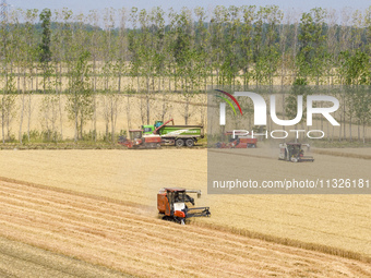 Farmers are driving large harvesting machines to harvest wheat for major growers in Yingcun village, Lianyungang city, Jiangsu province, Chi...