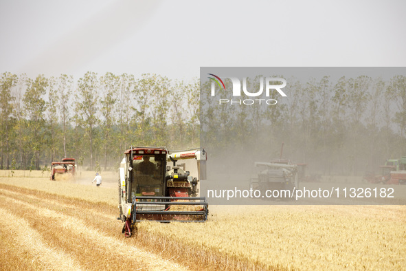 Farmers are driving large harvesting machines to harvest wheat for major growers in Yingcun village, Lianyungang city, Jiangsu province, Chi...