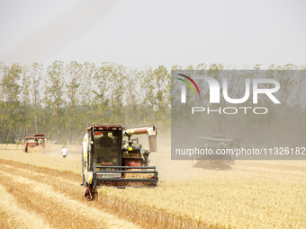 Farmers are driving large harvesting machines to harvest wheat for major growers in Yingcun village, Lianyungang city, Jiangsu province, Chi...