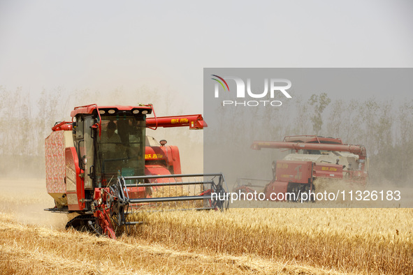 Farmers are driving large harvesting machines to harvest wheat for major growers in Yingcun village, Lianyungang city, Jiangsu province, Chi...