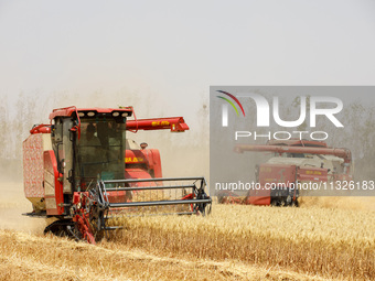 Farmers are driving large harvesting machines to harvest wheat for major growers in Yingcun village, Lianyungang city, Jiangsu province, Chi...