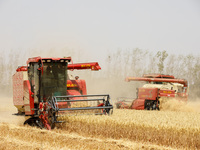 Farmers are driving large harvesting machines to harvest wheat for major growers in Yingcun village, Lianyungang city, Jiangsu province, Chi...