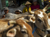 Cattle sellers are waiting for buyers at the Imogiri Livestock Market in Bantul Regency, Indonesia, on June 13, 2024, ahead of the Eid al-Ad...