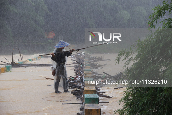 A villager is braving the rain to clear a tree branch stuck on a bridge in Dantan Township, Rongan County, Liuzhou, China, on June 13, 2024....