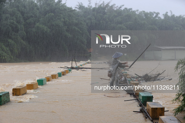 A villager is braving the rain to clear a tree branch stuck on a bridge in Dantan Township, Rongan County, Liuzhou, China, on June 13, 2024....