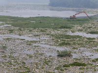 Officers are using an excavator to clean up plastic waste that has settled in the Citarum River in Batujajar, Bandung, West Java, Indonesia,...