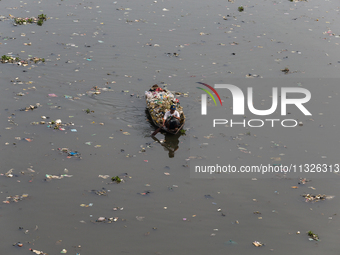 A resident is using a wooden boat to clean plastic waste that has settled in the Citarum River in Batujajar, Bandung, West Java, Indonesia,...