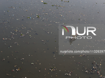 A resident is using a wooden boat to clean plastic waste that has settled in the Citarum River in Batujajar, Bandung, West Java, Indonesia,...