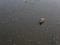 A resident is using a wooden boat to clean plastic waste that has settled in the Citarum River in Batujajar, Bandung, West Java, Indonesia,...