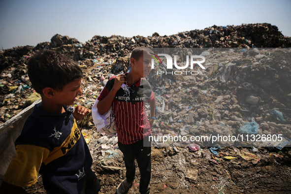 Displaced Palestinian children are searching for recyclables at a garbage dump in Deir el-Balah, in the central Gaza Strip, on June 13, 2024...