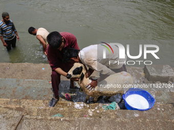 Workers are washing sheep at a river before selling them ahead of the Eid-Al-Adha (Feast of Sacrifice) festival in Srinagar, Kashmir, India,...