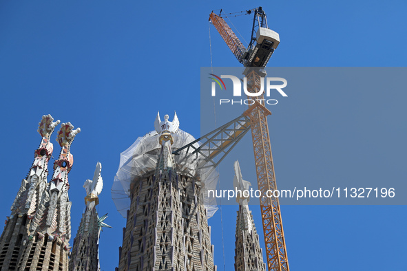 A crane is being installed in the Sagrada Familia to undertake the final works of the basilica. The 203-meter crane, of which there are only...