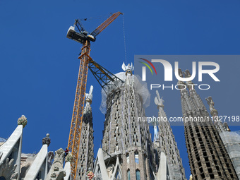 A crane is being installed in the Sagrada Familia to undertake the final works of the basilica. The 203-meter crane, of which there are only...