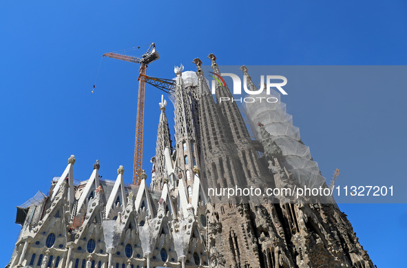 A crane is being installed in the Sagrada Familia to undertake the final works of the basilica. The 203-meter crane, of which there are only...