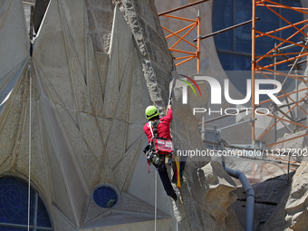 A crane is being installed in the Sagrada Familia to undertake the final works of the basilica. The 203-meter crane, of which there are only...