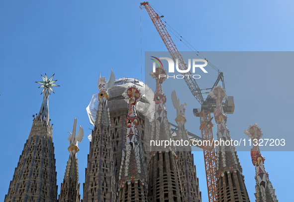 A crane is being installed in the Sagrada Familia to undertake the final works of the basilica. The 203-meter crane, of which there are only...