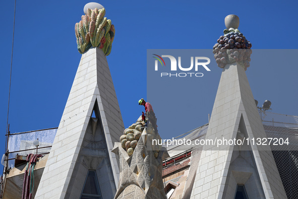 A crane is being installed in the Sagrada Familia to undertake the final works of the basilica. The 203-meter crane, of which there are only...